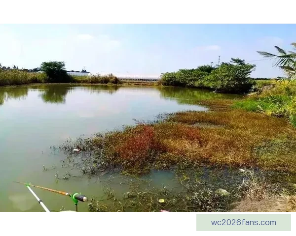 世界杯胜负预测深度解析与球队实力对比全面指南